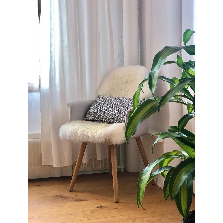 Cozy & Warm Apartment In Oberaegeri Ngoại thất bức ảnh